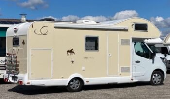 CAPUCINE Ahorn Kentucky