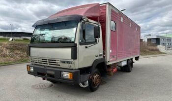 
										CAMION CHEVAUX 1987 Steyr 10S18 4×2 chevaux transport full									