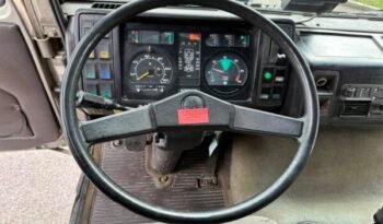 
										CAMION CHEVAUX 1987 Steyr 10S18 4×2 chevaux transport full									