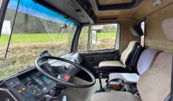 
										CAMION CHEVAUX 1987 Steyr 10S18 4×2 chevaux transport full									