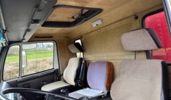 
										CAMION CHEVAUX 1987 Steyr 10S18 4×2 chevaux transport full									