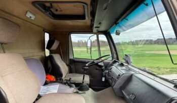 
										CAMION CHEVAUX 1987 Steyr 10S18 4×2 chevaux transport full									