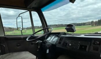 
										CAMION CHEVAUX 1987 Steyr 10S18 4×2 chevaux transport full									