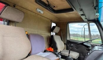 
										CAMION CHEVAUX 1987 Steyr 10S18 4×2 chevaux transport full									