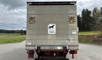 
										CAMION CHEVAUX 1987 Steyr 10S18 4×2 chevaux transport full									