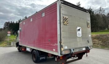 
										CAMION CHEVAUX 1987 Steyr 10S18 4×2 chevaux transport full									