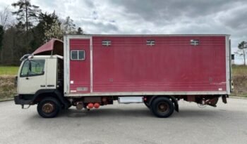 
										CAMION CHEVAUX 1987 Steyr 10S18 4×2 chevaux transport full									