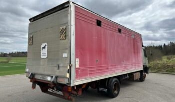 
										CAMION CHEVAUX 1987 Steyr 10S18 4×2 chevaux transport full									