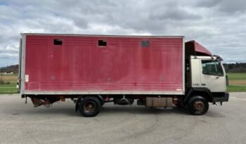 
										CAMION CHEVAUX 1987 Steyr 10S18 4×2 chevaux transport full									