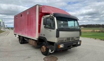 
										CAMION CHEVAUX 1987 Steyr 10S18 4×2 chevaux transport full									