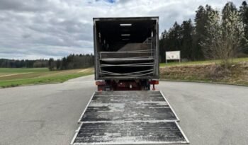 
										CAMION CHEVAUX 1987 Steyr 10S18 4×2 chevaux transport full									