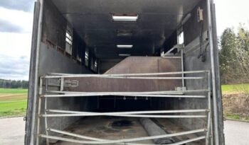 
										CAMION CHEVAUX 1987 Steyr 10S18 4×2 chevaux transport full									