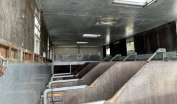 
										CAMION CHEVAUX 1987 Steyr 10S18 4×2 chevaux transport full									