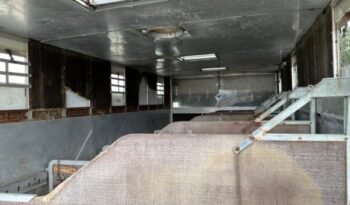 
										CAMION CHEVAUX 1987 Steyr 10S18 4×2 chevaux transport full									