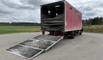 
										CAMION CHEVAUX 1987 Steyr 10S18 4×2 chevaux transport full									