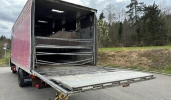 
										CAMION CHEVAUX 1987 Steyr 10S18 4×2 chevaux transport full									