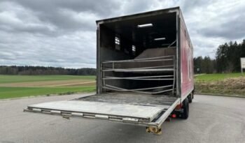 
										CAMION CHEVAUX 1987 Steyr 10S18 4×2 chevaux transport full									