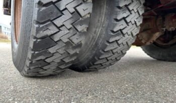 
										CAMION CHEVAUX 1987 Steyr 10S18 4×2 chevaux transport full									