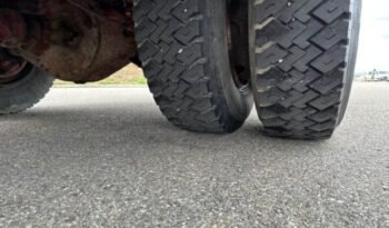 
										CAMION CHEVAUX 1987 Steyr 10S18 4×2 chevaux transport full									