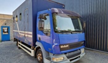 
										CAMION CHEVAUX DAF LF 45 150 / LAMMES – BLATT – SPRING / AIRCO full									