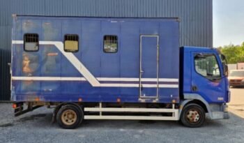 
										CAMION CHEVAUX DAF LF 45 150 / LAMMES – BLATT – SPRING / AIRCO full									