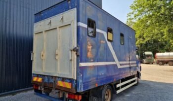 
										CAMION CHEVAUX DAF LF 45 150 / LAMMES – BLATT – SPRING / AIRCO full									