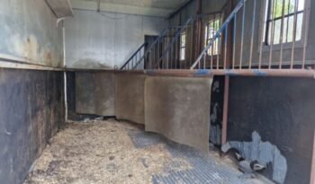 
										CAMION CHEVAUX DAF LF 45 150 / LAMMES – BLATT – SPRING / AIRCO full									