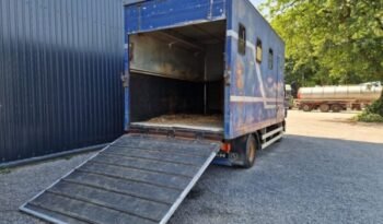 
										CAMION CHEVAUX DAF LF 45 150 / LAMMES – BLATT – SPRING / AIRCO full									