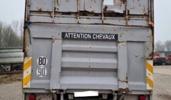 
										CAMION CHEVAUX Scania R113-360 FULL STEEL SUSPENSION full									