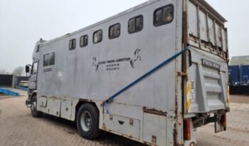 
										CAMION CHEVAUX Scania R113-360 FULL STEEL SUSPENSION full									