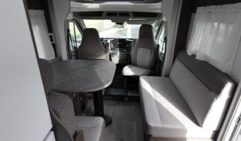 
										BENIMAR TESSORO 481 full									