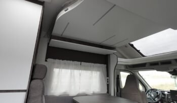 
										BENIMAR TESSORO 481 full									