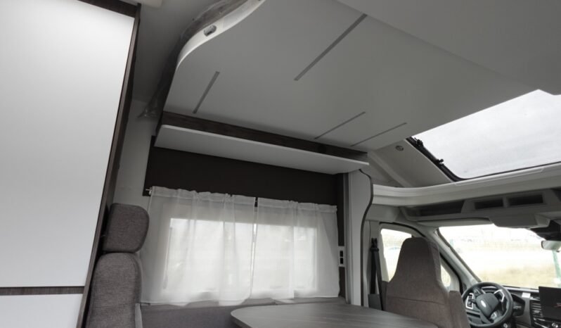 
								BENIMAR TESSORO 481 full									