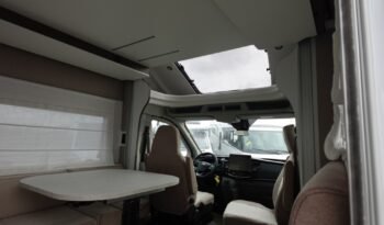 
										BENIMAR TESSORO 481 – 2026 full									