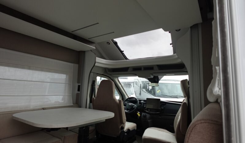 
								BENIMAR TESSORO 481 – 2026 full									