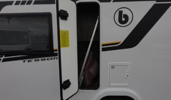 
										BENIMAR TESSORO 481 – 2026 full									