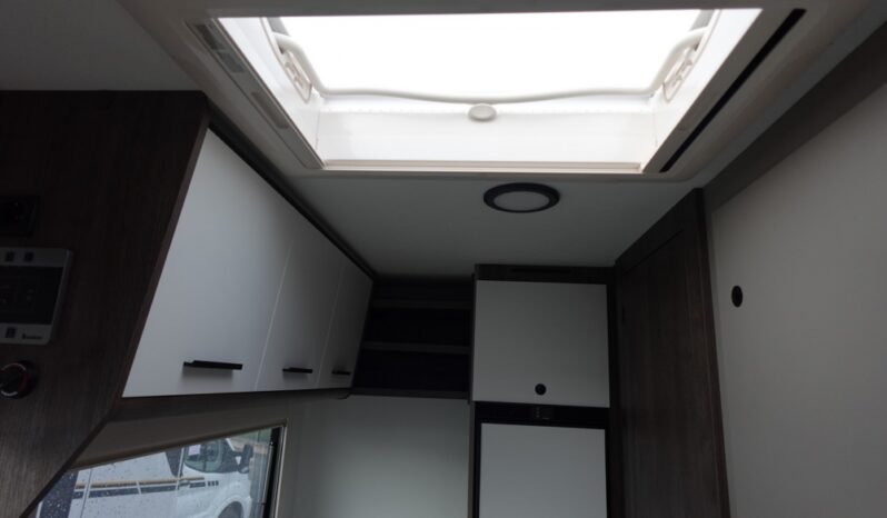 
								BENIMAR TESSORO 481 – 2026 full									