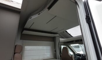 
										BENIMAR TESSORO 481 – 2026 full									